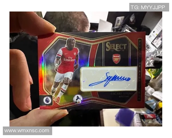 帕尼尼球星卡在英超足球收藏市场中的价值评估与投资潜力分析